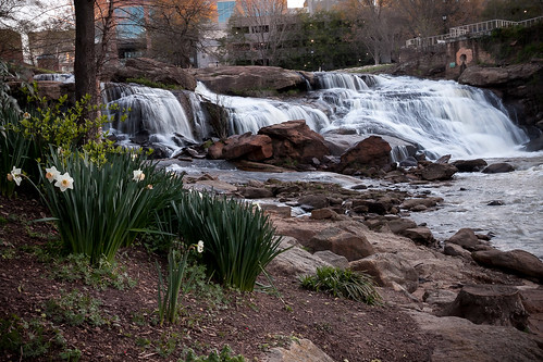 red greenville southcarolina fallspark reedyriverfalls waterfall cityscape landscape water flowers