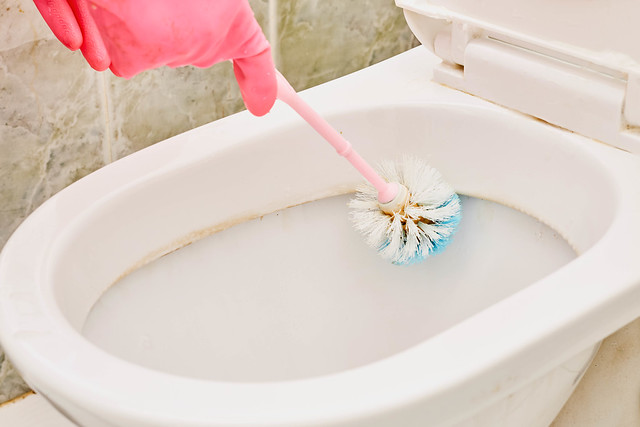 A woman cleans a bathroom toilet with a scrub brush