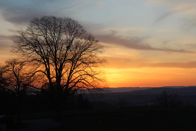 Sonnenuntergang - sunset am Bantiger ob Deisswil im Berner Mittelland im Kanton Bern der Schweiz