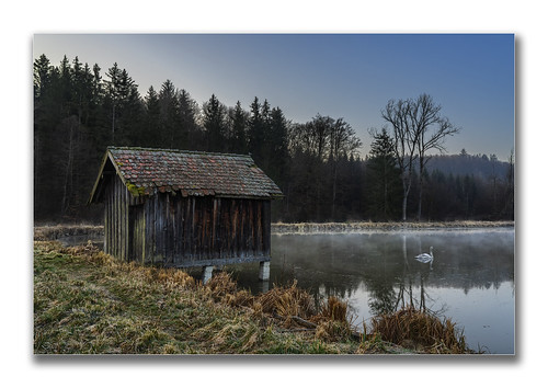 germany bavaria teufelstal landscape forest trees morning fishpond water swan hut