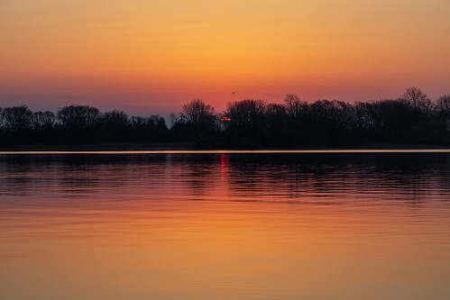 lr_2L0A6183_20210404_0652 by Paul Lantz, Sunrise through the trees along the Bay of Quinte 2021 April 42021april4 belleville herchimerboatlau