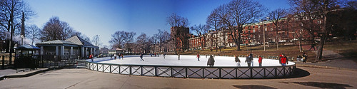 Frog Pond as Ice Rink (1)
