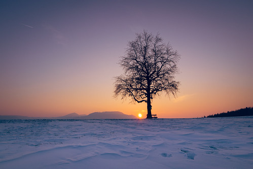 frozen winter golden sunset sundwon moody nature cold snow tree baum austria mostviertel scheibbs stunning perfect natur landschaft landscape niederösterreich