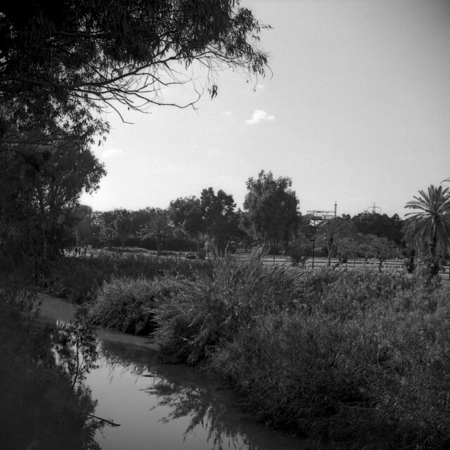 Yarkon river