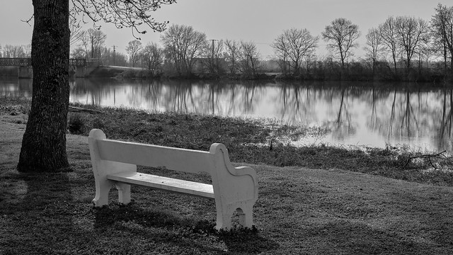Loneliness of the park bench