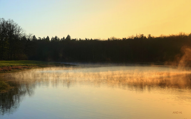 lever du soleil sur l'étang