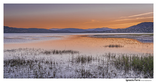 That summer sunset by Ignacio Ferre, _DSC5574Lrcopiaembalsedesantillana santillanareservoir manzanareselreal madrid españa spain lago lak