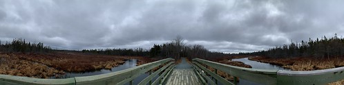 Panorama: Old Lawrencetown Road Trail