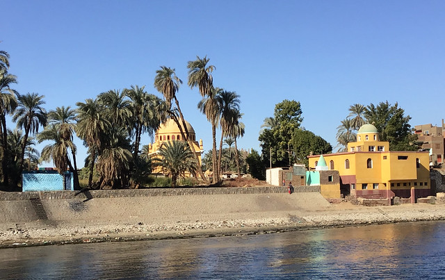 Tuesday Colours - Trees along the Nile