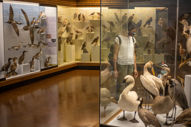 Santa Barbara Museum of Natural History