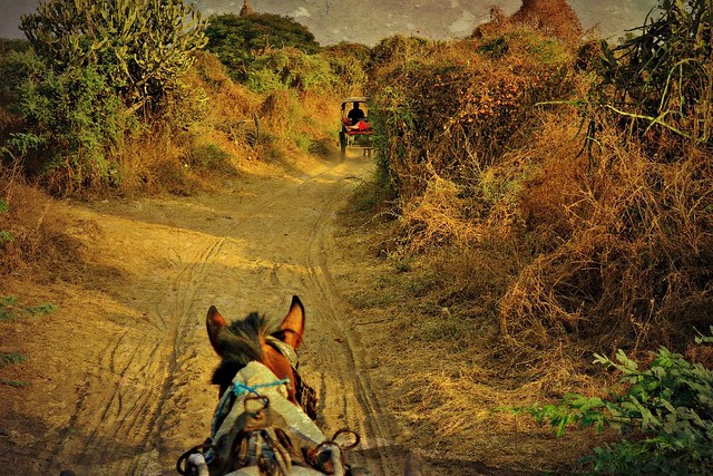 MYANMAR , Burma - Old-Bagan, mit der Pferdekutsche durch die ländlichen Vororte, zu den historischen Stätten, MYANMAR, Burma - Old-Bagan, by horse-drawn carriage through the rural suburbs to the historic sites, 78268/13546