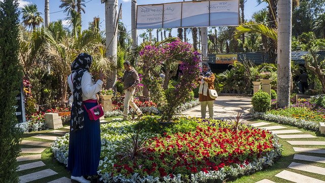 From Egypt's Spring Flowers Show 2021