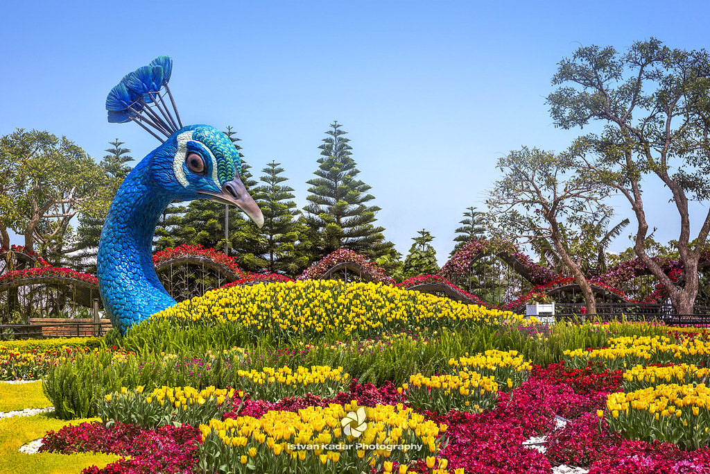Flower Garden at Ba Na Hills Mountain Resort, Da Nang, Vie…