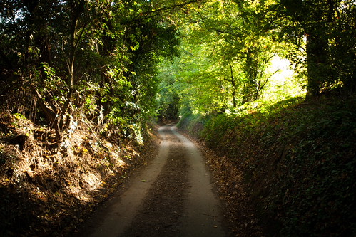 Lane