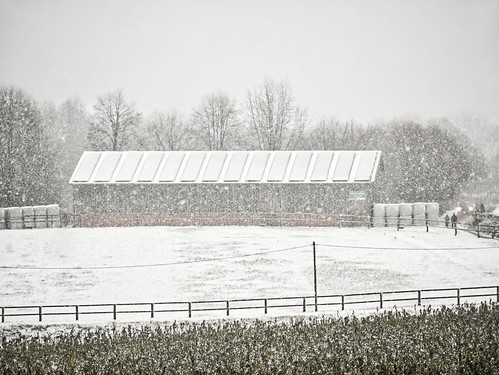 winter revival | by Christoph KkK