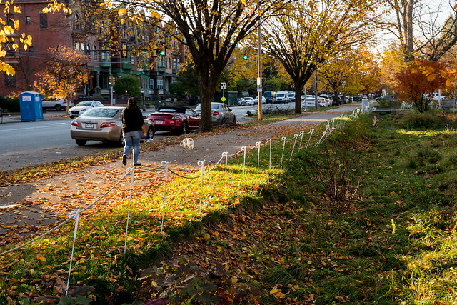 Rain gardens and below ground stone trench along Parkside Avenue at Centennial Commons in West Philadelphia.

<em>Photo: JPG Photography © PWD</em>