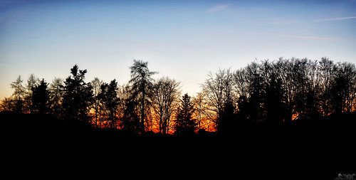 sunrise sunset trees tree sky silhouhette mountain ulmizberg bern switzerland a6000 ilce6000 sel55210 lewelsch lewelschphoto swissphotographers