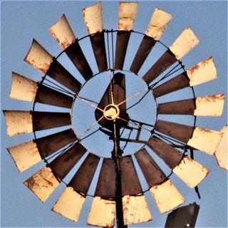 Windmill Blades | by birdsetcetera