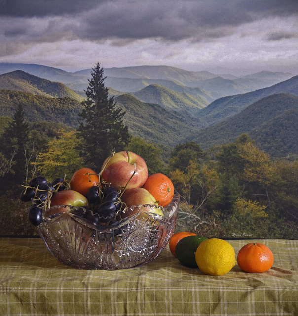 Still Life In The Mountains