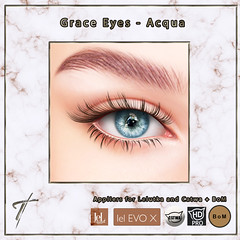 Tville - Grace eyes v2 *acqua*