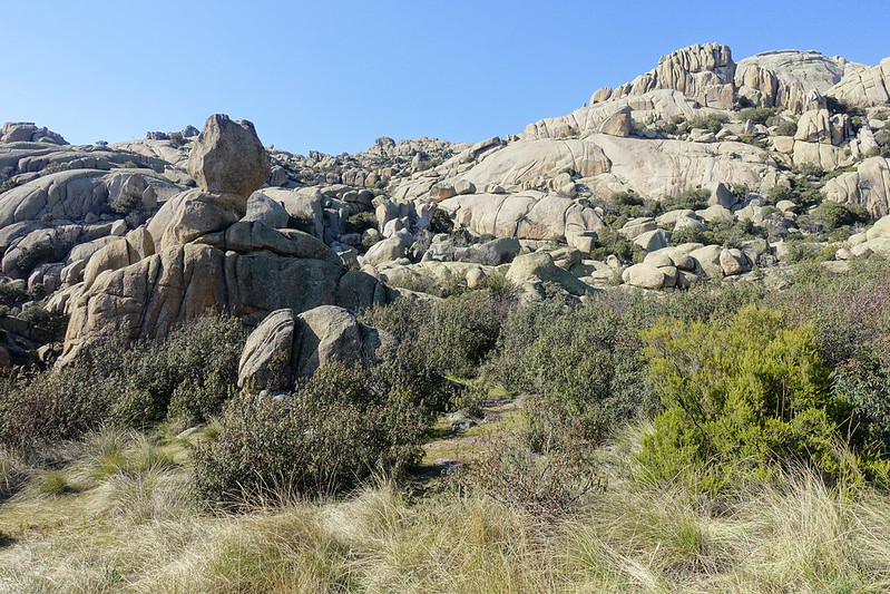 Comunidad de Madrid: pueblos, rutas y lugares, incluyendo senderismo - Blogs de España - Ruta circular al Elefantito de la Pedriza, Manzanares el Real (Madrid). (86)