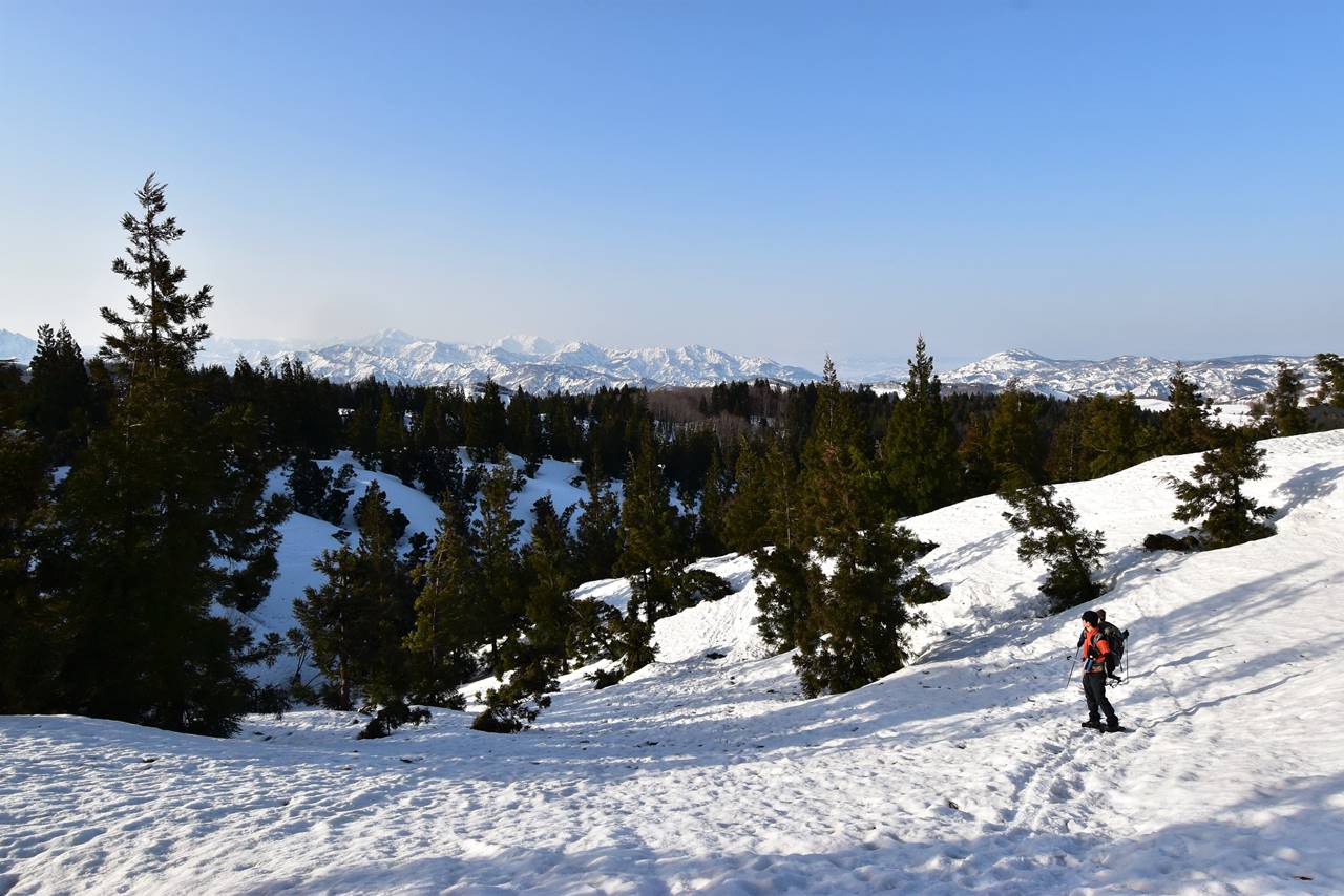 【新潟】守門岳 東洋一の大雪庇へ日帰り雪山登山