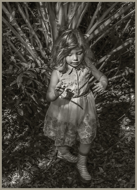 Grand Daughter #4 2021; The Magic Girl of the Forest