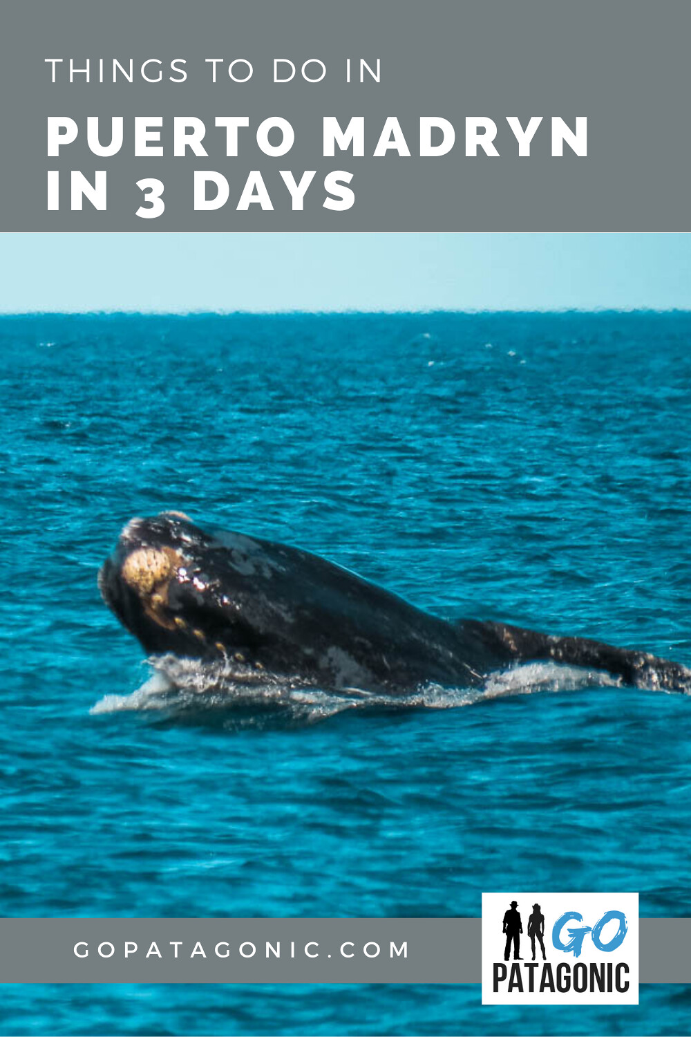 Puerto Madryn in 3 days – suggested itinerary