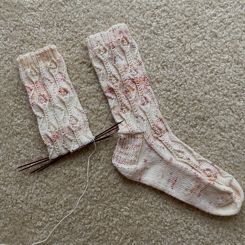 Homely socks