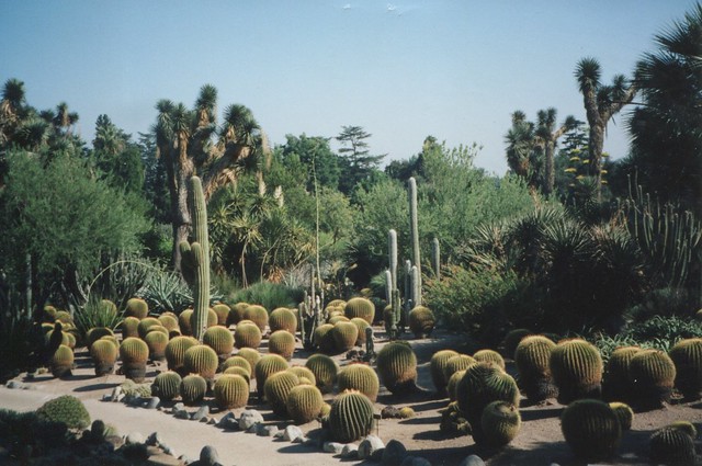 Huntington Library Art Collections & Botanical Gardens ~ San Marino California ~ Old 35mm Film