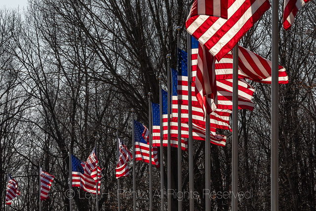 Avenue of Flags at Fort Custer National Cemetery
