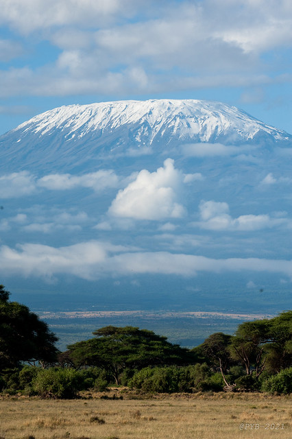 L'impressionnant Kilimandjaro depuis le pars d'Amboseli