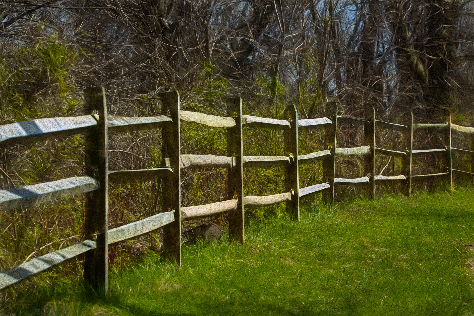Wood fence (HSS)