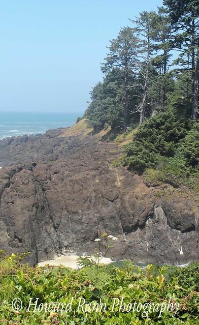 Oregon Coast (317)