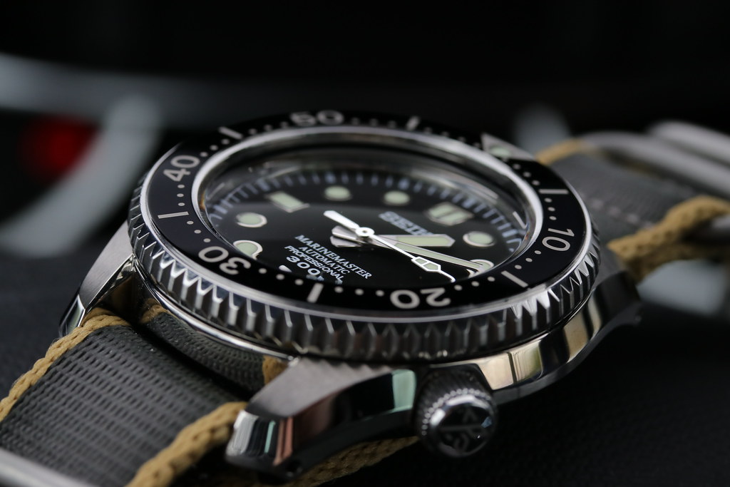 MarineMaster 300 owner's club - tome XXX - Page 42 51106914736_d3e07479bf_b