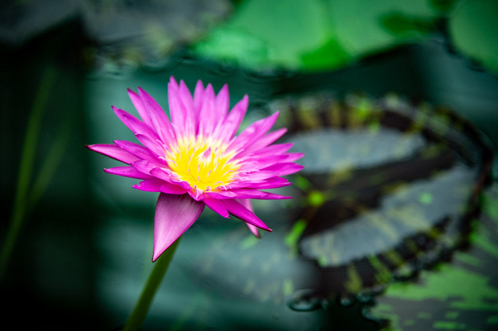 掛川花鳥園