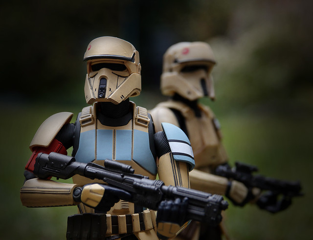 365 - Image 100 - Shoretroopers...