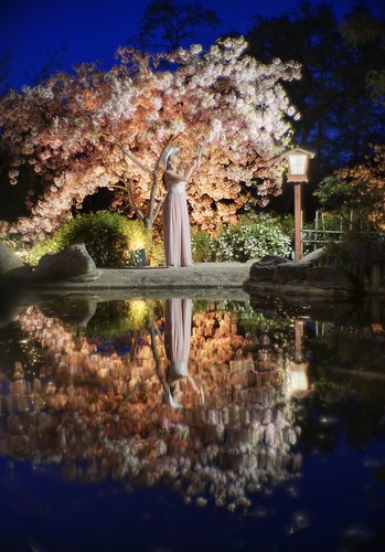 california light woman usa reflection tree water lamp rock night garden person japanesegarden mirror pond outdoor saratoga symmetry sanfranciscobayarea cherryblossom siliconvalley sanfranciscobay bliss southbay cherrytree hanami enchanted waterreflection hakonegardens nightviewing canon raw sony fullframe hdr a7 a7ii photomatix vintagelens dreamlens 1xp qualityhdr canon50mmf095 sonya7 ilce7m2 a7mii alpha7mii qualityhdrphotography fav100 model