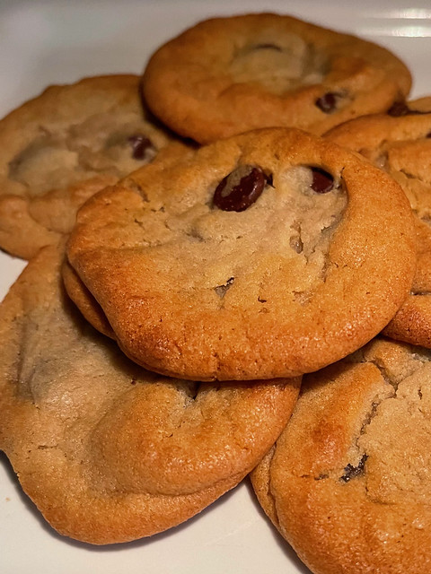 The 2021 Photo Project - April 9 - Day 99 - Cookie!