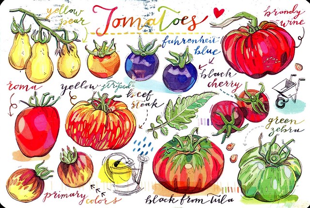 Tomatoes - Lou Paper