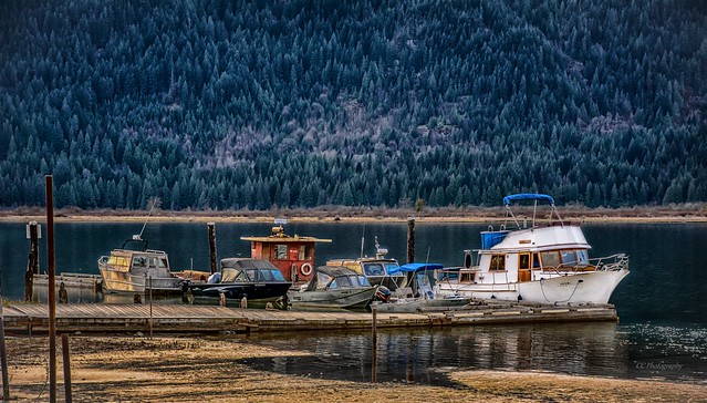 Grant Narrows Boat Launch and Marina ** Pitt River/Pitt Lake, BC