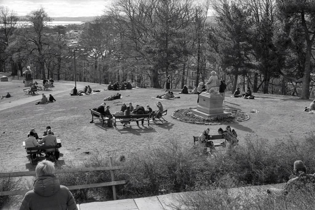 The parks nowadays | Kodak Retina IIa