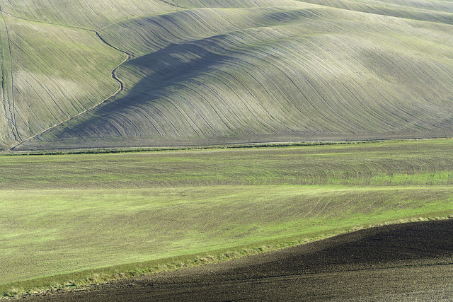 Drainage Channels in Rolling Ploughed Fields near San Quirico - Tuscany 77