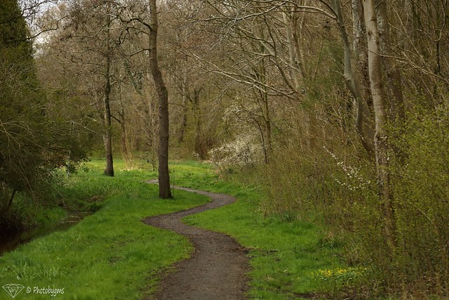 Local path