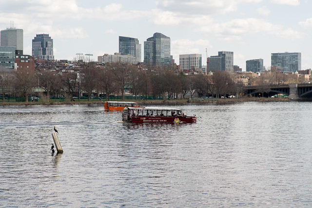 The return of the Boston Duck Tours
