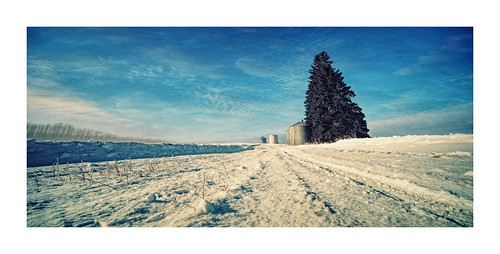 laowa 9mm lens china wideangle snow trees bins farm farming farmers winterblues fujifilm xh1 dreamer dreaming winter seasons sunset sunsetting sunrise sun sunny shadows wind drifting vanveenjf venus kanada canada weather fujlove l