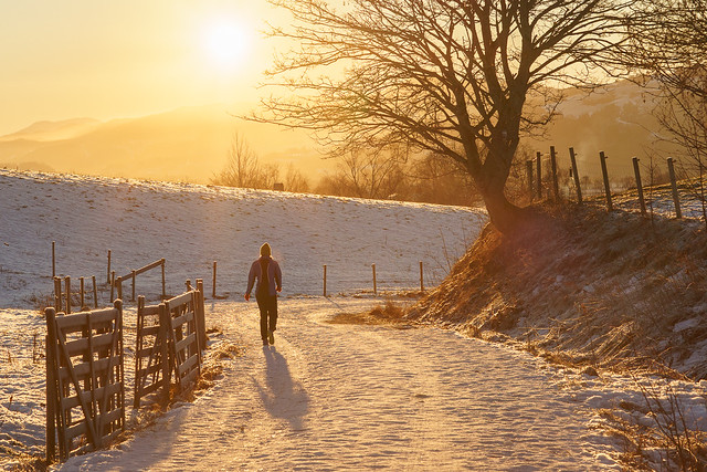 Walking in warm winter light