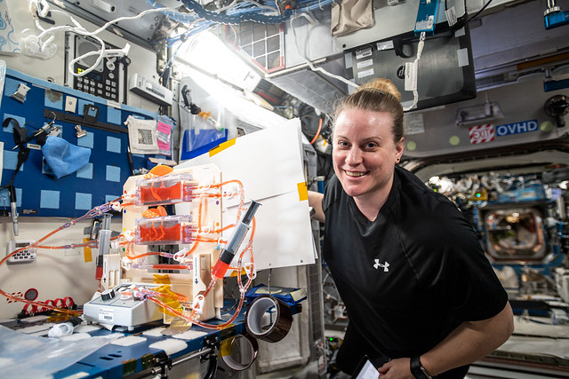 NASA astronaut Kate Rubins works botany research