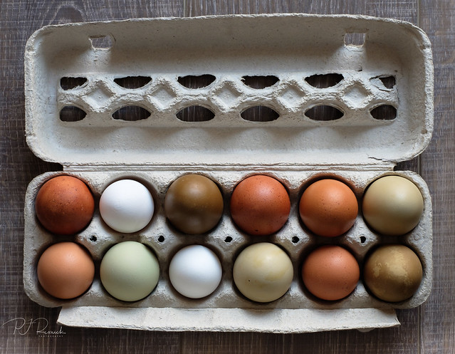Farm Stand Eggs