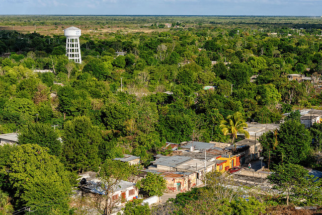 Ver en la inmensidad del Yucatán